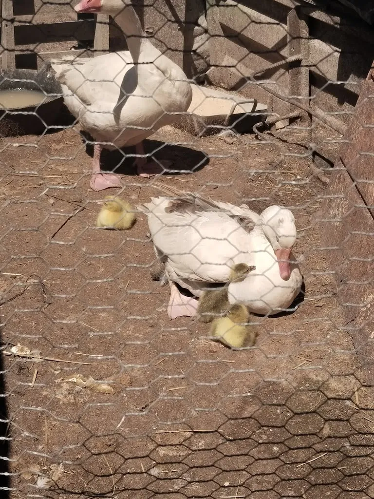 Casa Abuela Simona_Vega de Santa María_slider_image_3