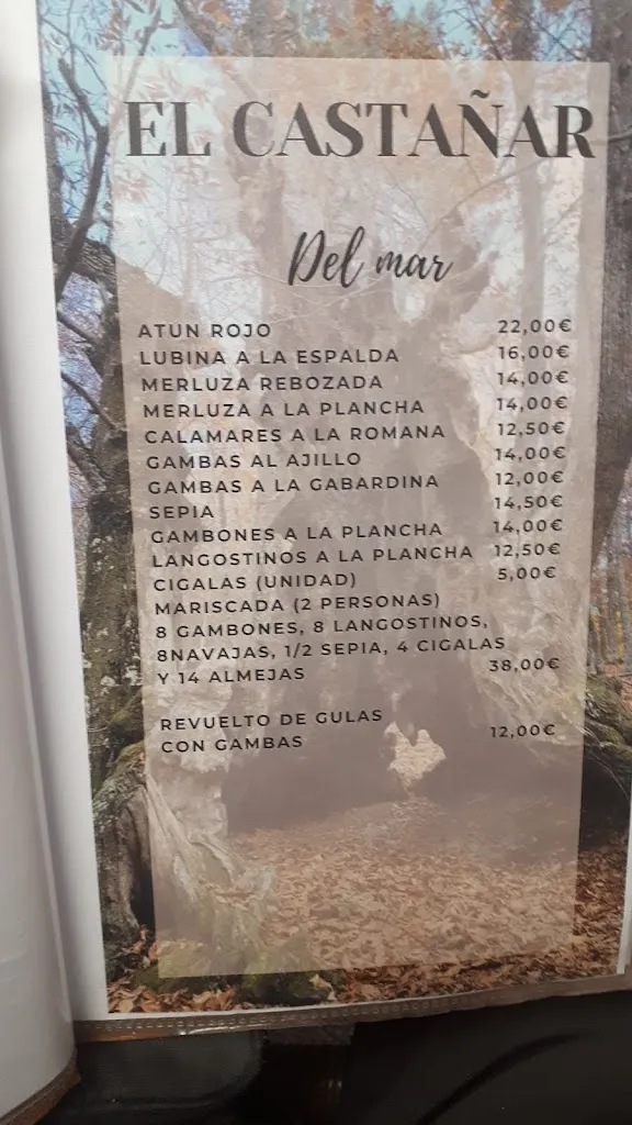 Menu_Restaurante El Castañar_Tiemblo El_image_4