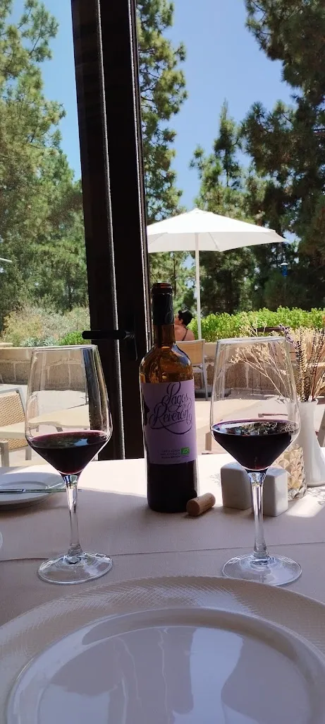 Zanna Vahmistrova_La Vendimia_Villaflor_review