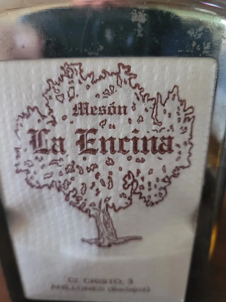 Francisco J. Navarrete_Mesón La Encina_Ahillones_review