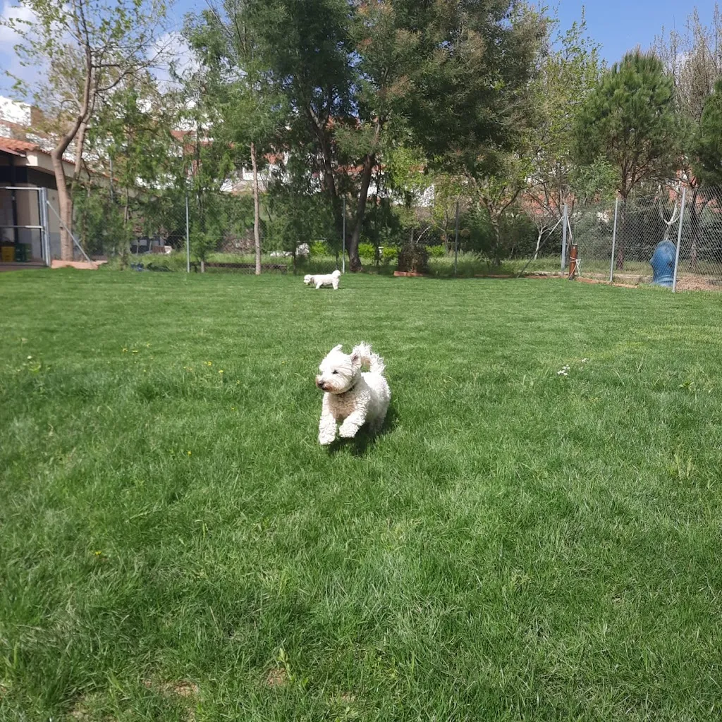 Thomas Carey_Bar-Restaurante El Manantial_Alange_review