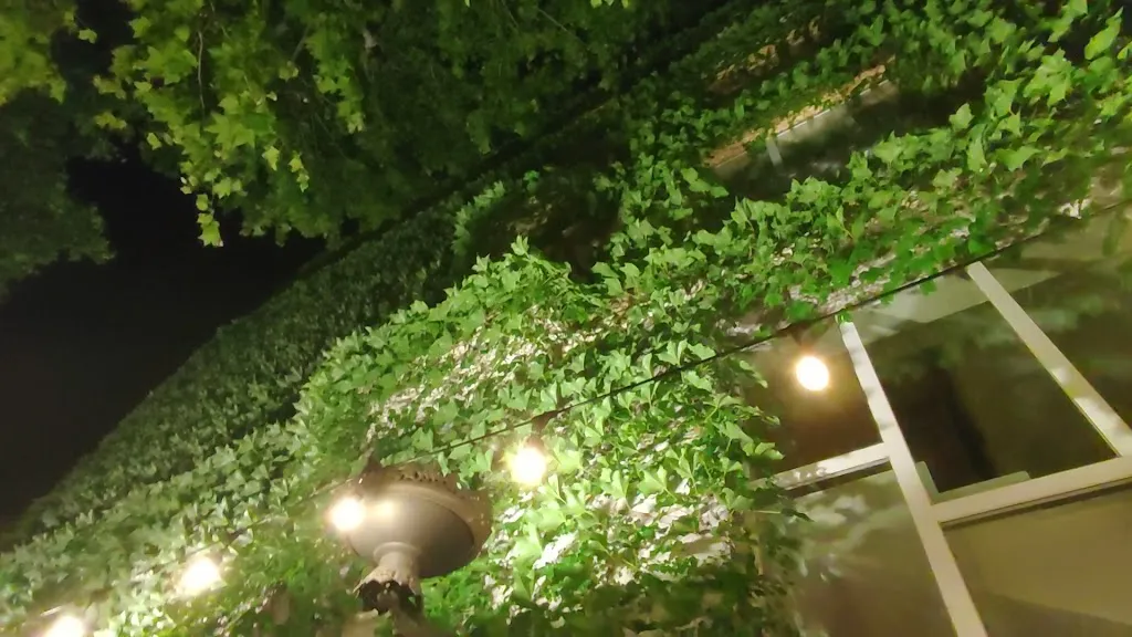 Café-Bar Aquae_Alange_slider_image_2