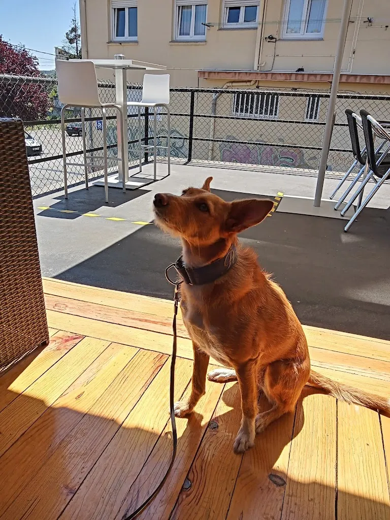 Apapache's Bar Tapas & Raciones_Culleredo_slider_image_3