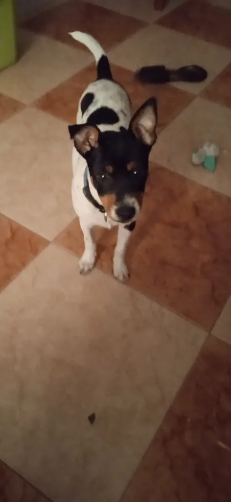 Cervecería Alfon_Alconera_slider_image_3