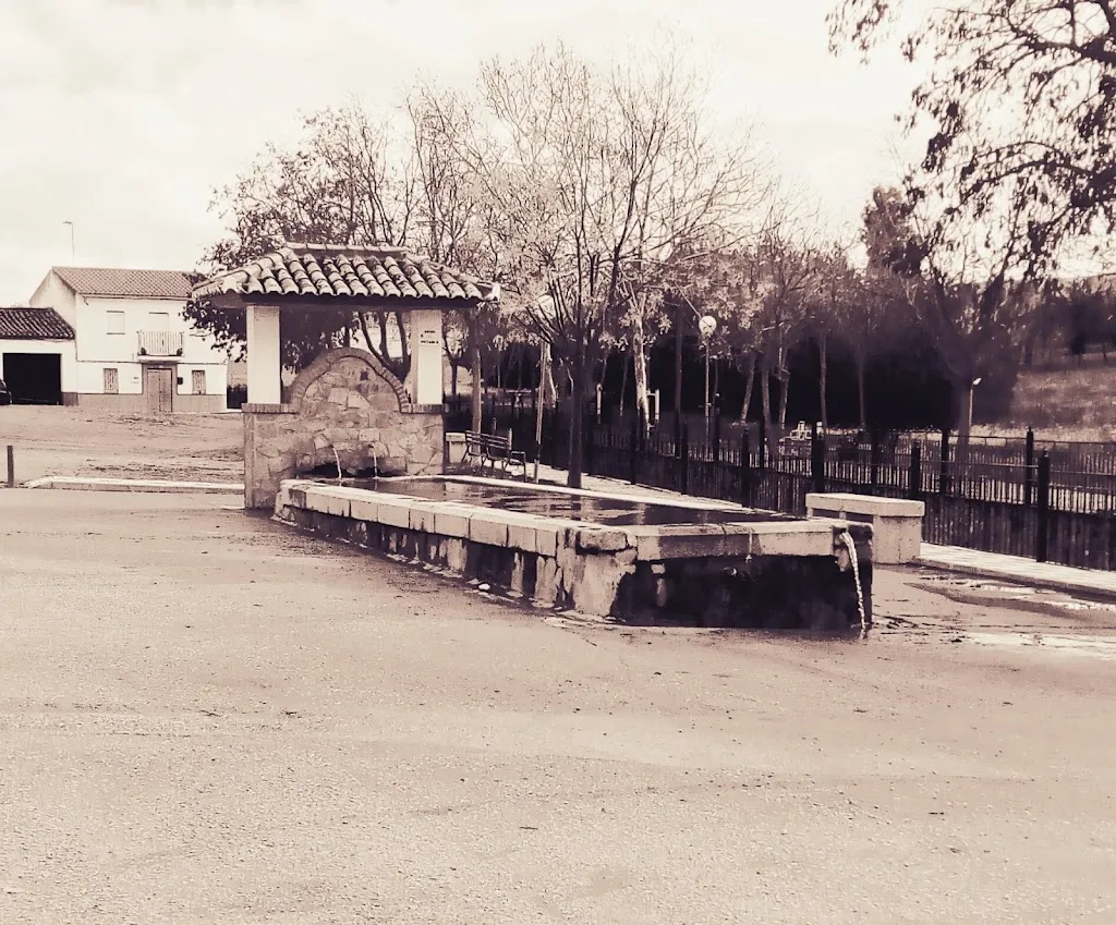 Bar El Mesón_Campillo de Llerena_slider_image_3