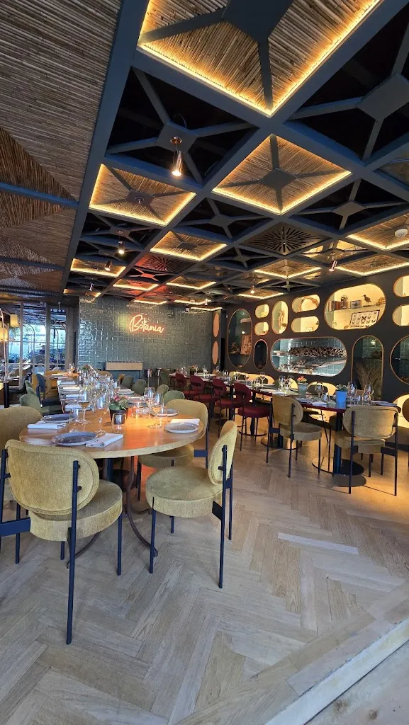 Ali M_Botania_Amés_review