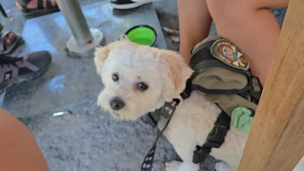 Sawmill Market_Alburquerque_slider_image_2