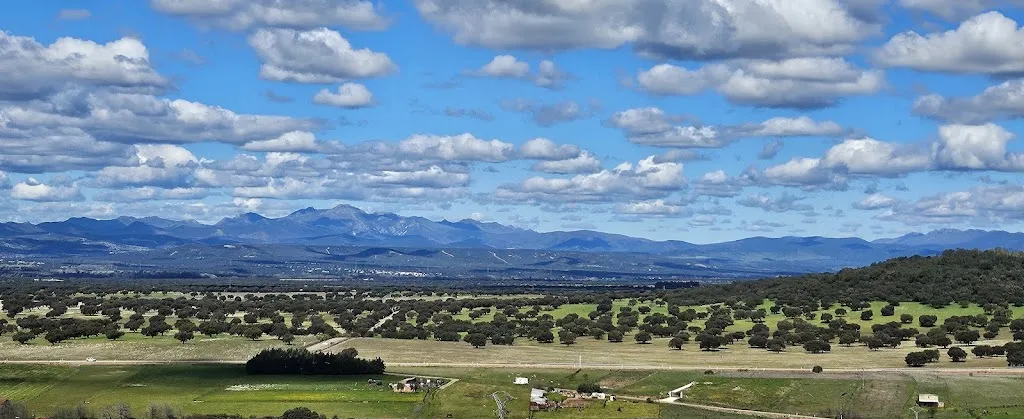 Café Bar Hogar Del Pensionista_Castilblanco_slider_image_3