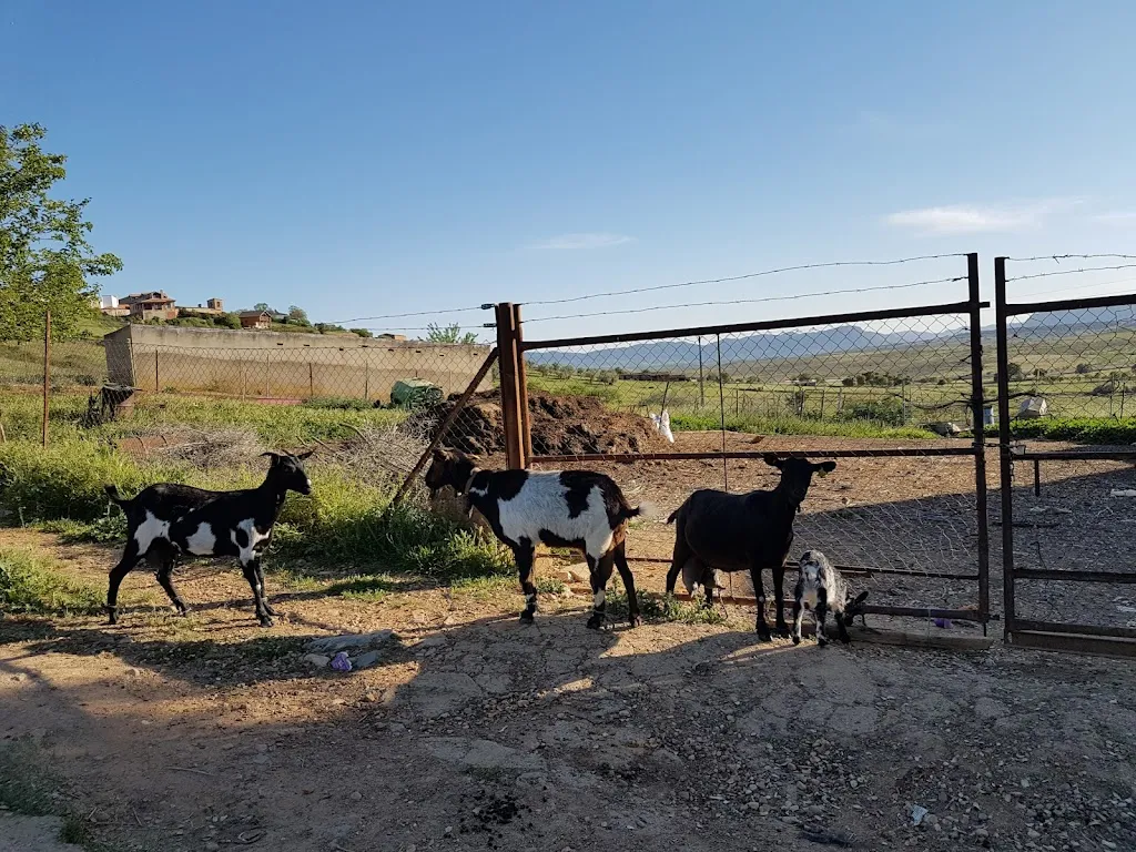 Restaurante Los Pescadores_Castilblanco_slider_image_2