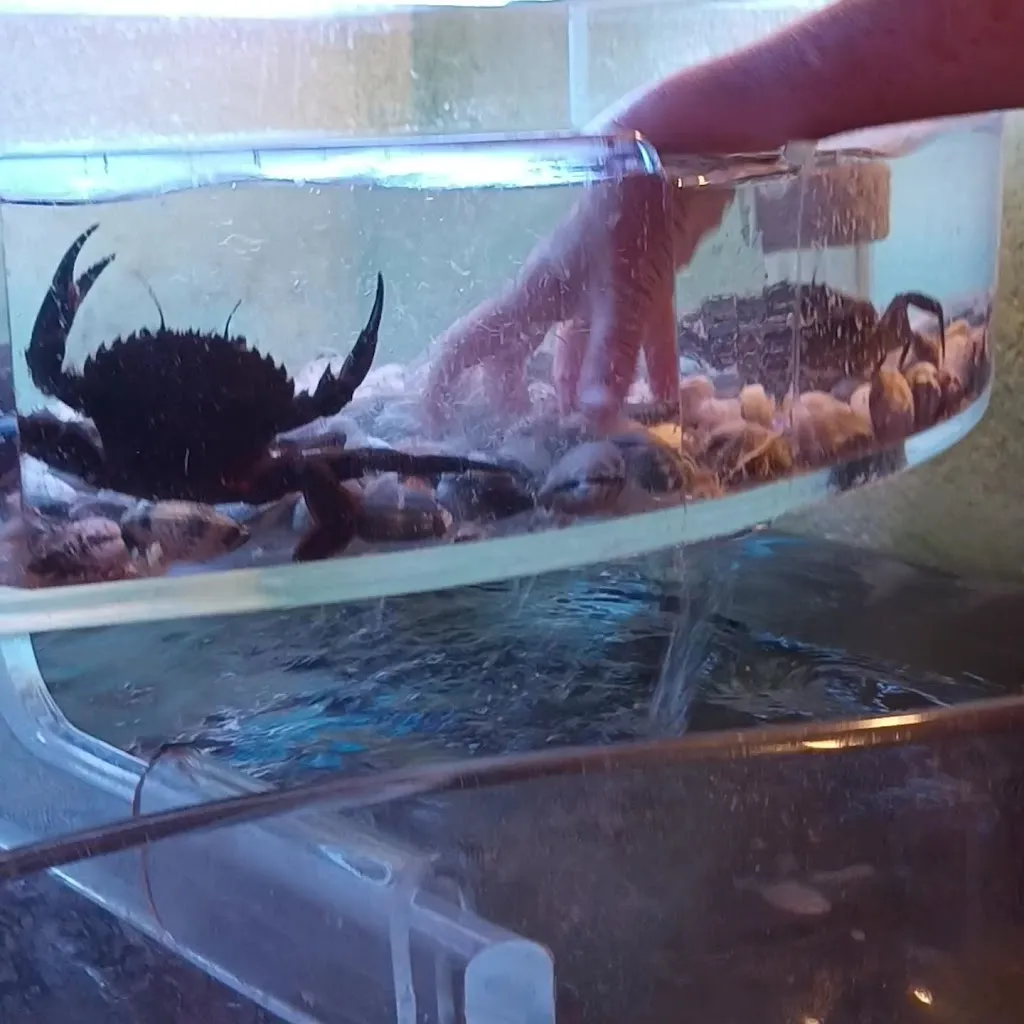 Fernando Almaraz_Las Cuevas_Castuera_review