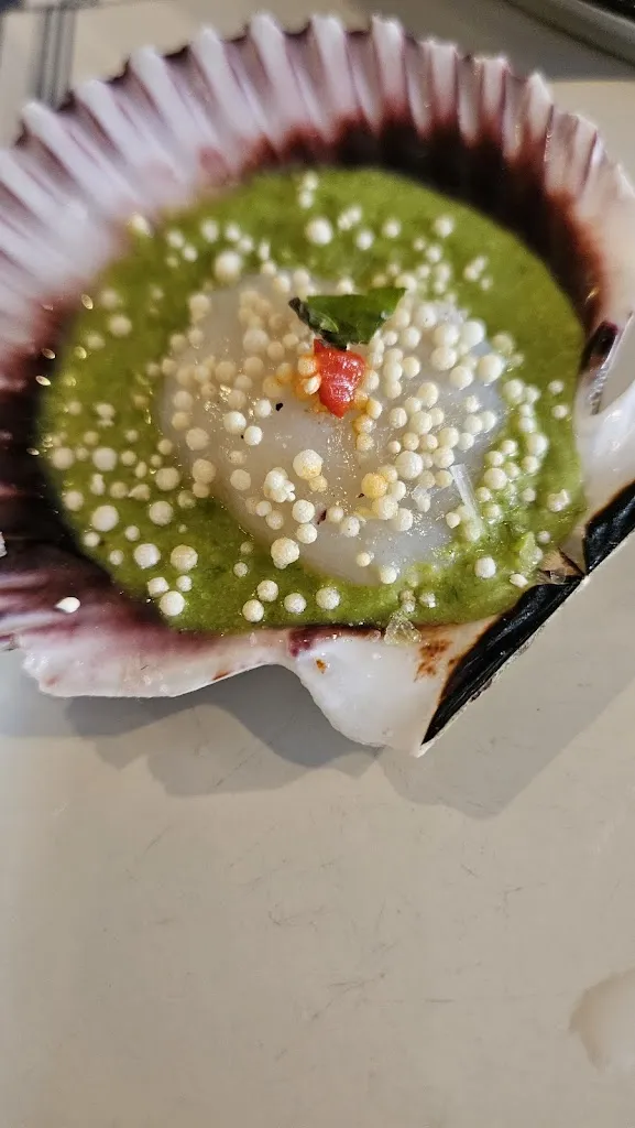 Amber Gopel_Jolie_Coronada La_recensione