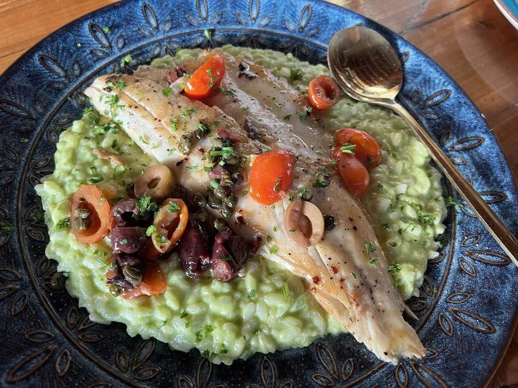 Amy Cercone_Nado Republic_Coronada La_recensione