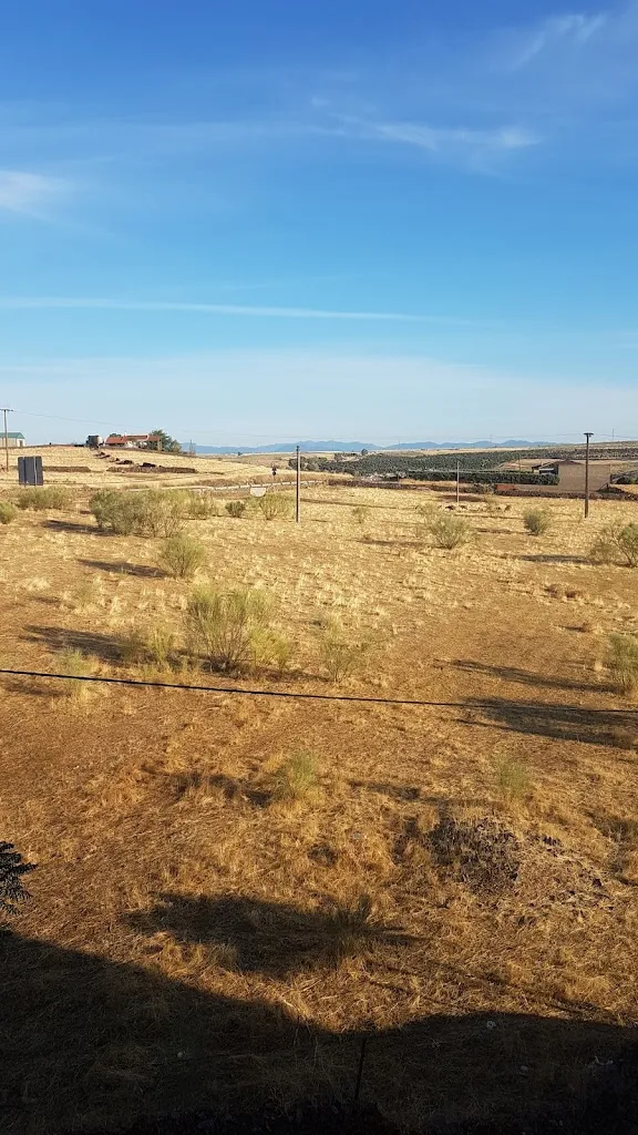 tina collins_Hostal Carlos I_Herrera del Duque_review