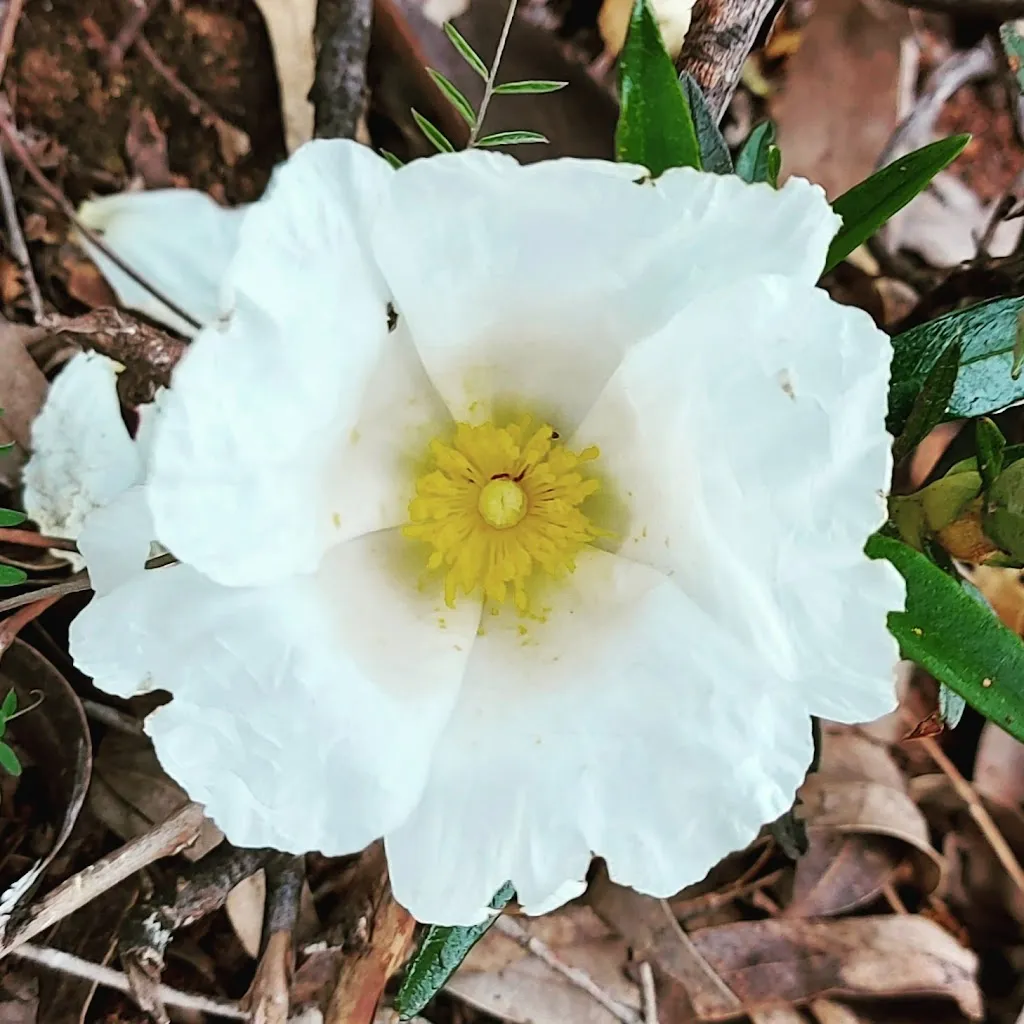 JESÚS BERMEJO MURIEL_Alojamiento Rural Cáceres Las Abuelas_Helechosa de los Montes_recensione