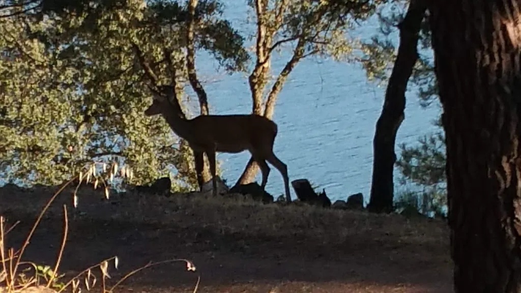 Rosa Galiano_Casa Rural Visita Cíjara_Helechosa de los Montes_review