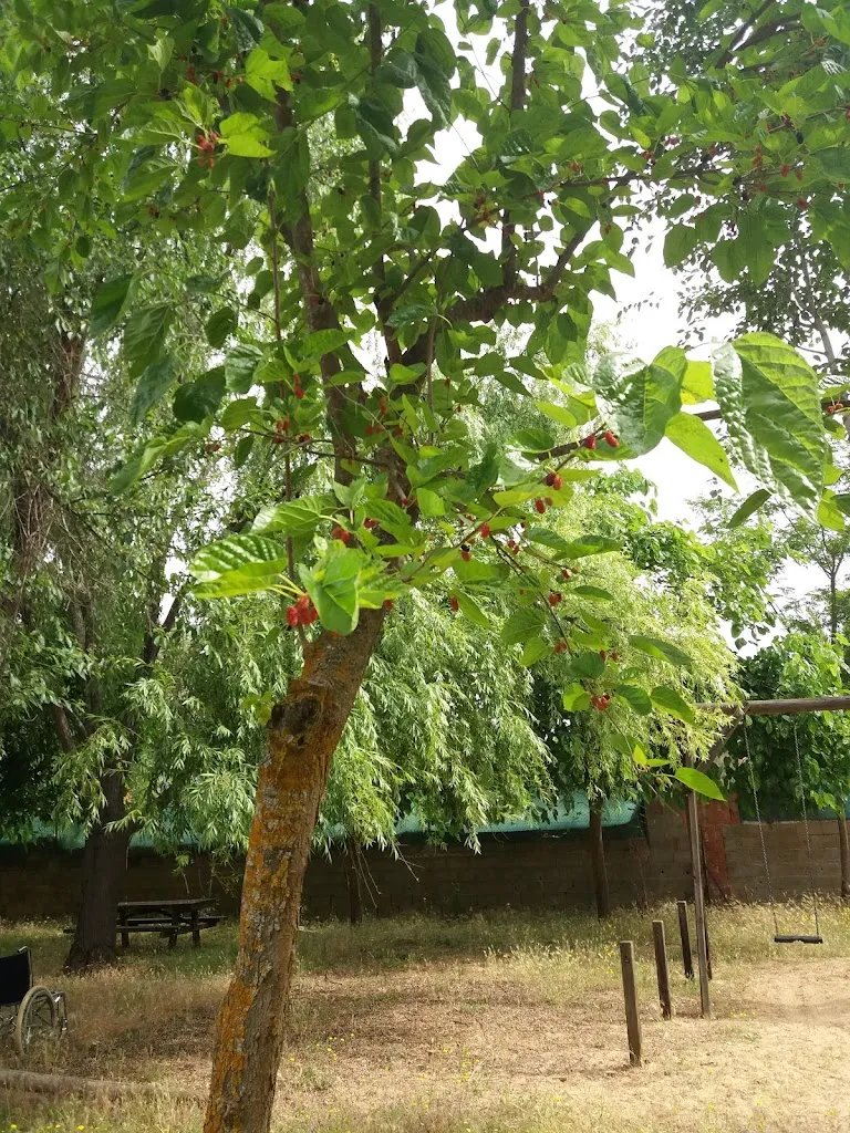 Centro Asistencial de Día Helechosa de los Montes_Helechosa de los Montes_slider_image_3