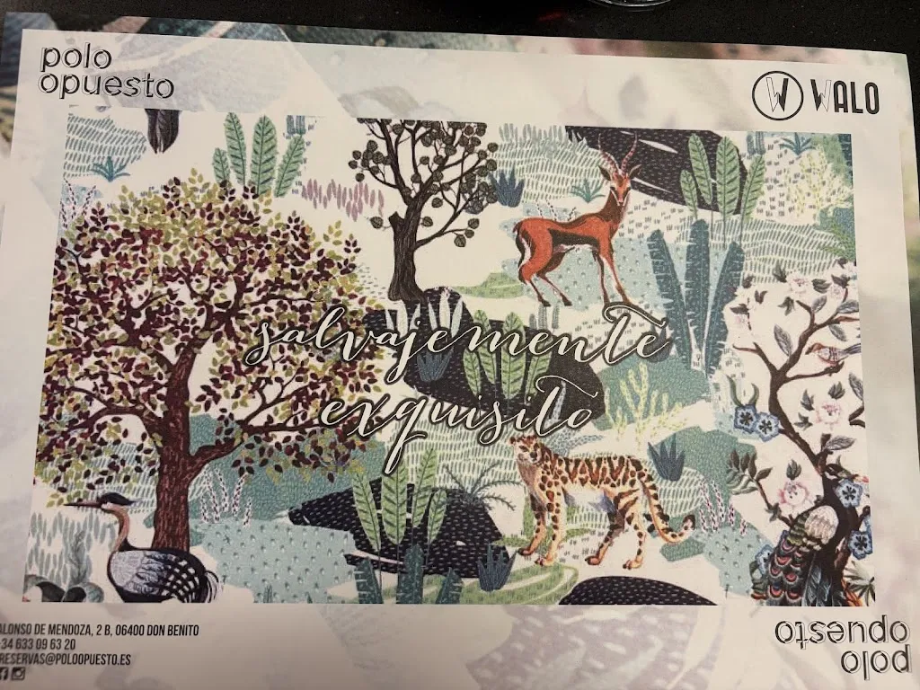 Elisa Cereceda_Bar restaurante Polo Opuesto_Don Benito_review