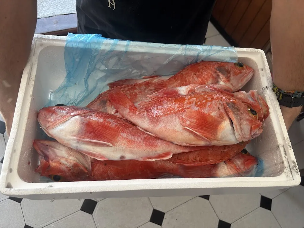 Dawn Ng_O PIRATA_Fisterra_review