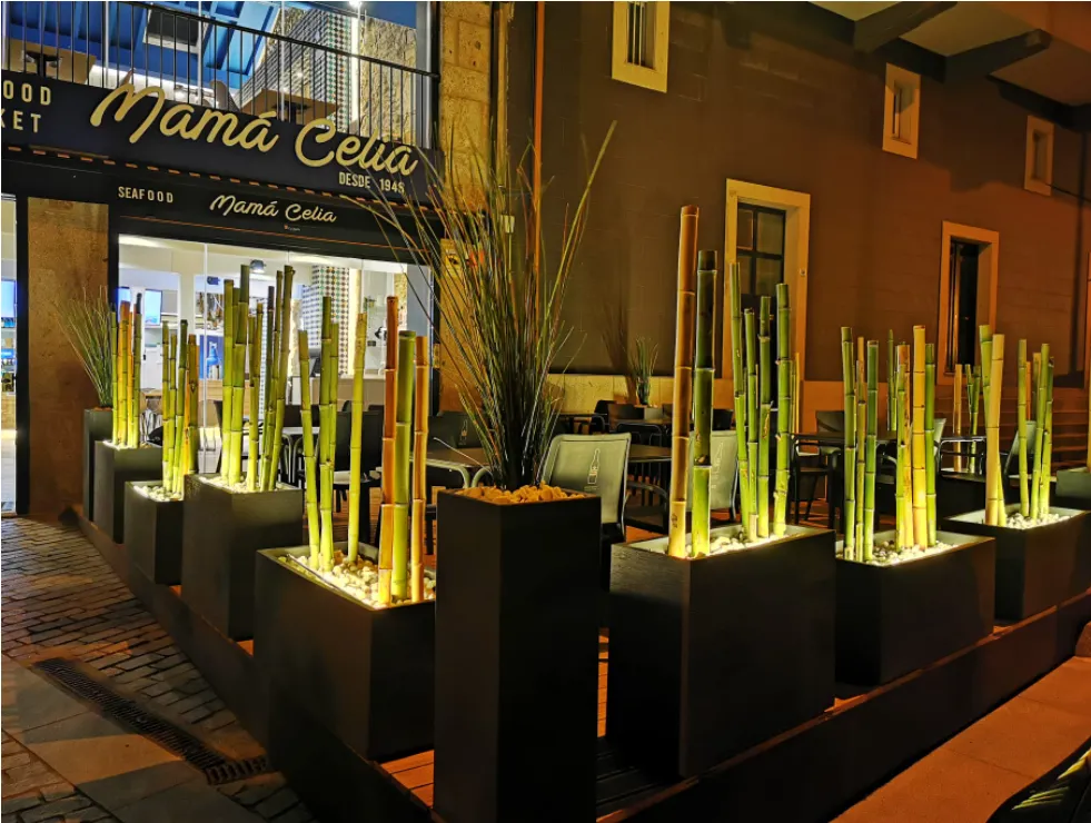 Mamá Celia Restaurantes restaurant in Fisterra