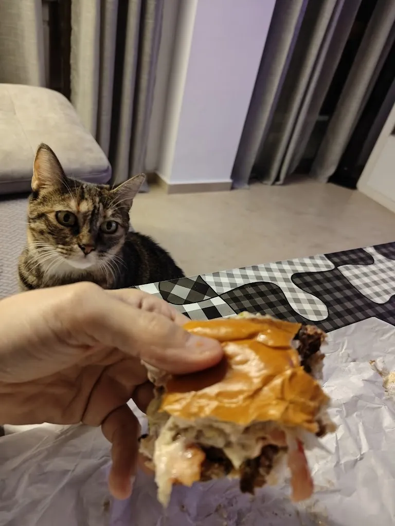 Menu_Freddy´s Burger_Don Benito_image_5