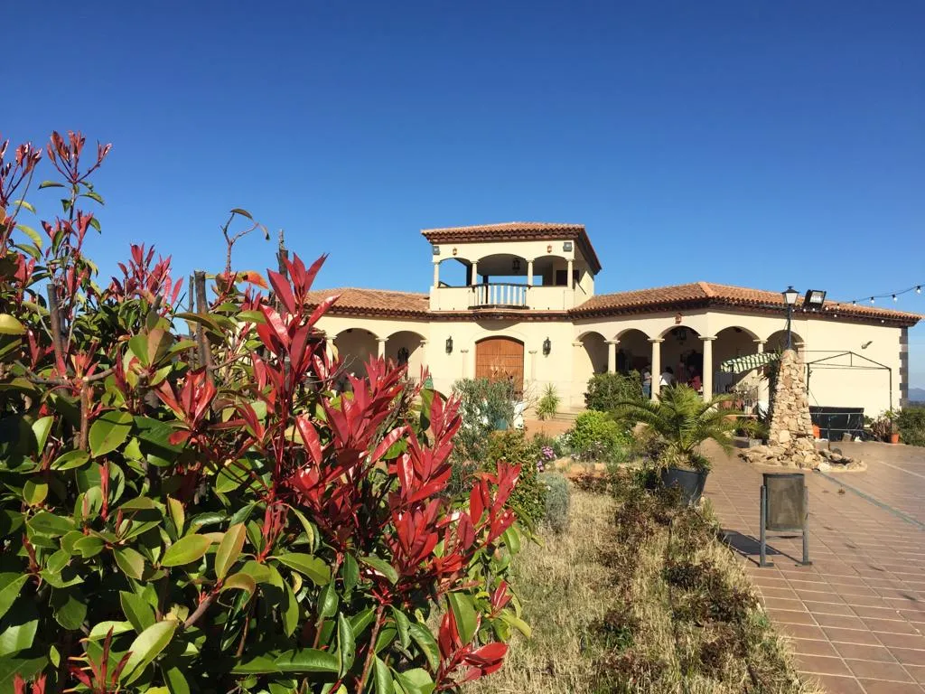 Mirador de Sierra Grande - Club del jamón Carpe Diem_Hornachos_slider_image_3