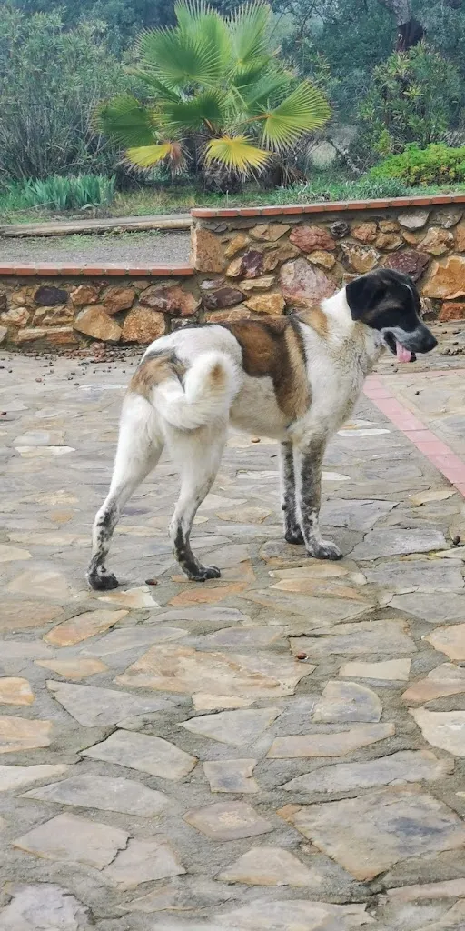 Piscina Municipal de Hornachos_Hornachos_slider_image_2