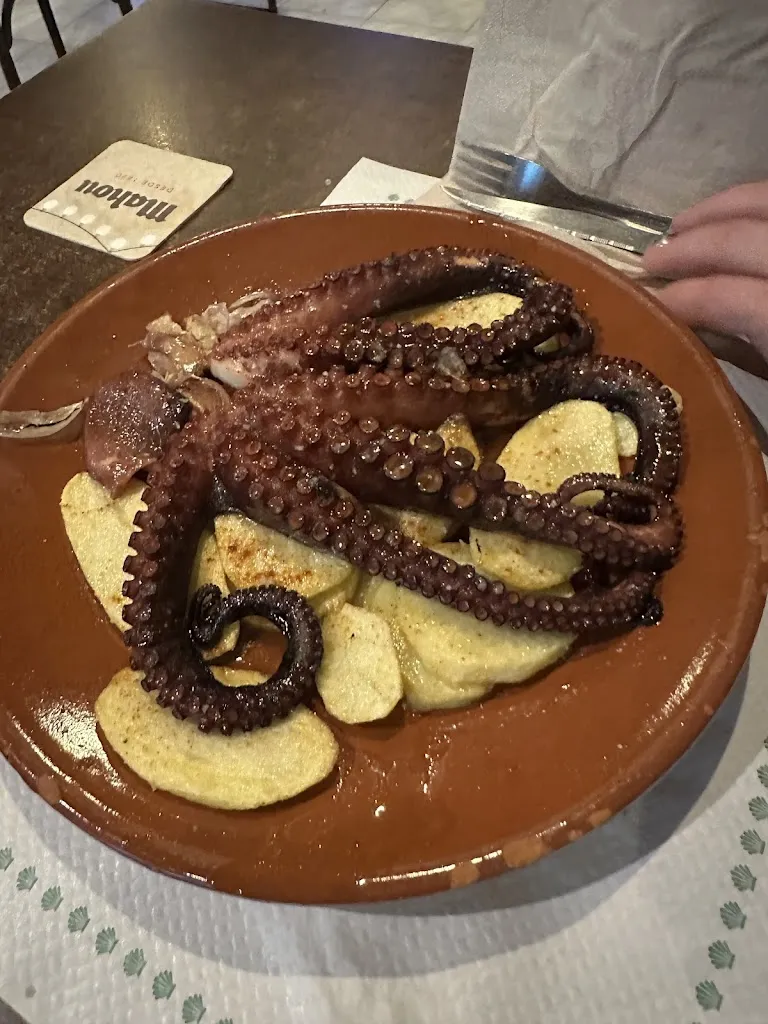 Chelsea Ball_The World Family _Fisterra_Bewertung