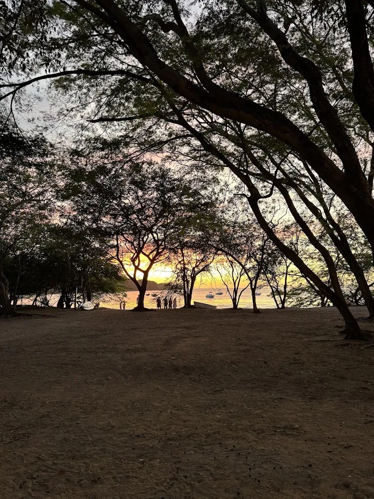 Crystal Goosney_Lapa Lapa_Lapa La_review