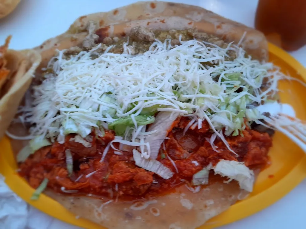 Celeste Guerra_Tacos y Revolcadas David_Llera_recensione