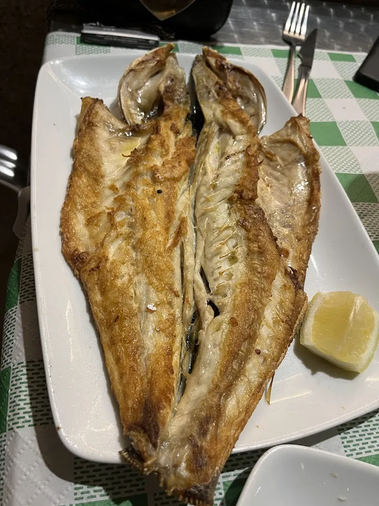 AiNe eNiA_Tearron_Fisterra_review