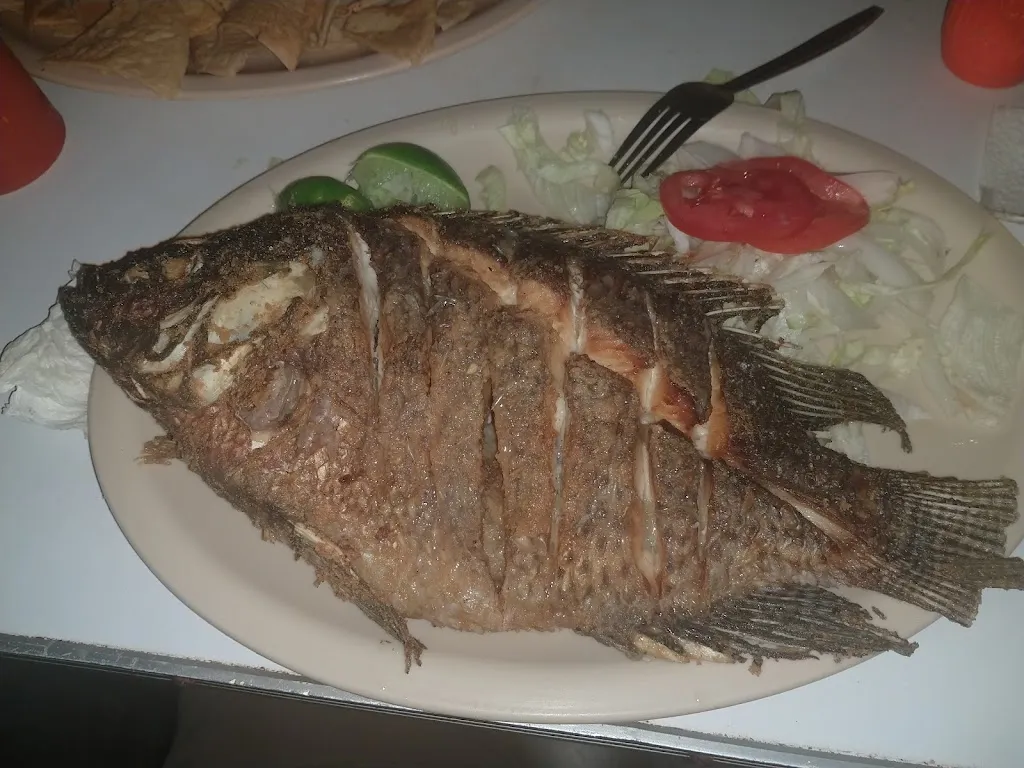 Gustavo Gaona_El Canelo Bar_Llera_review