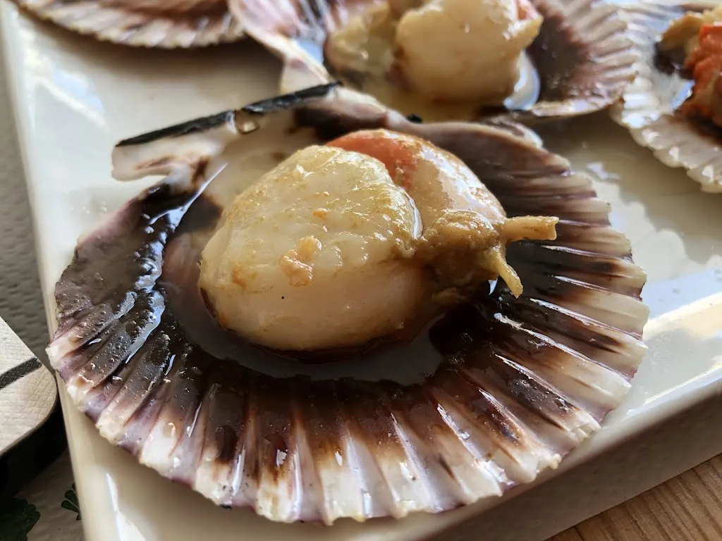 Lorraine Lam_OLD CAPTAIN_Fisterra_review