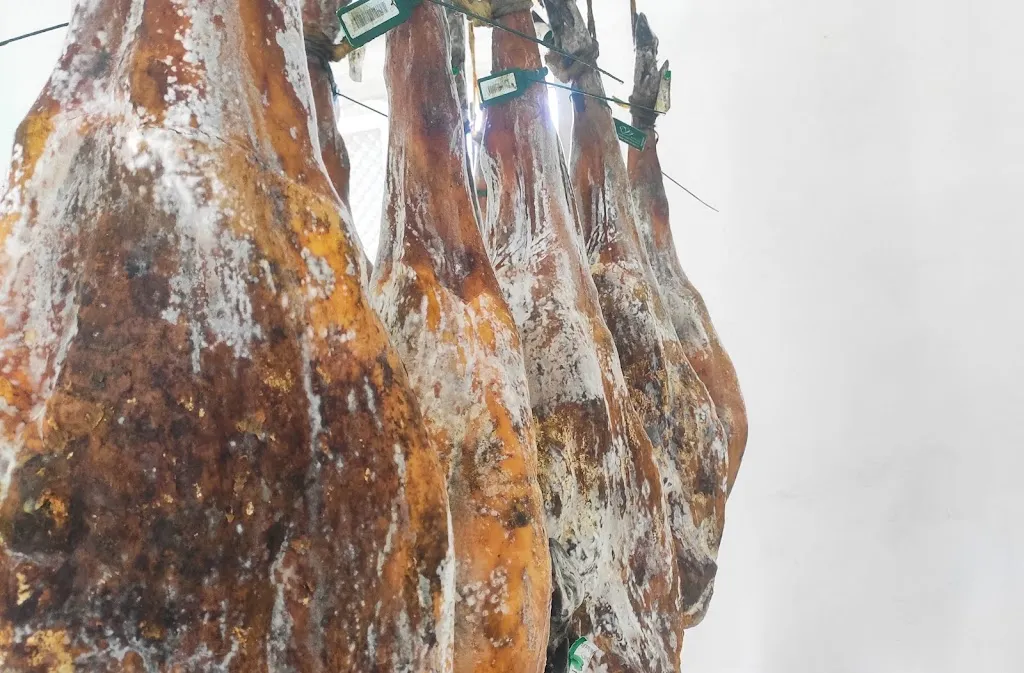 agroiberico_Medina de las Torres_slider_image_2