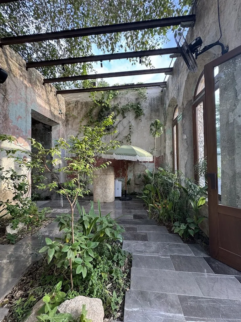 Irma Camacho_Ariadna Mérida_Mérida_review