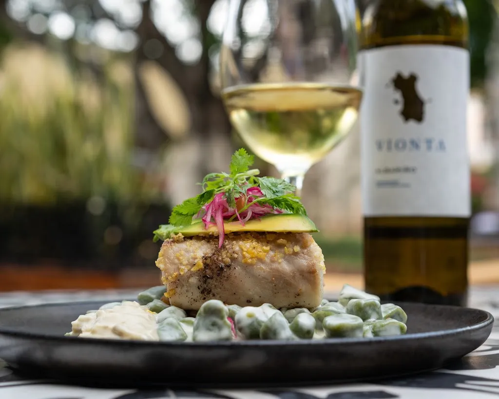 Apoala_Mérida_slider_image_3