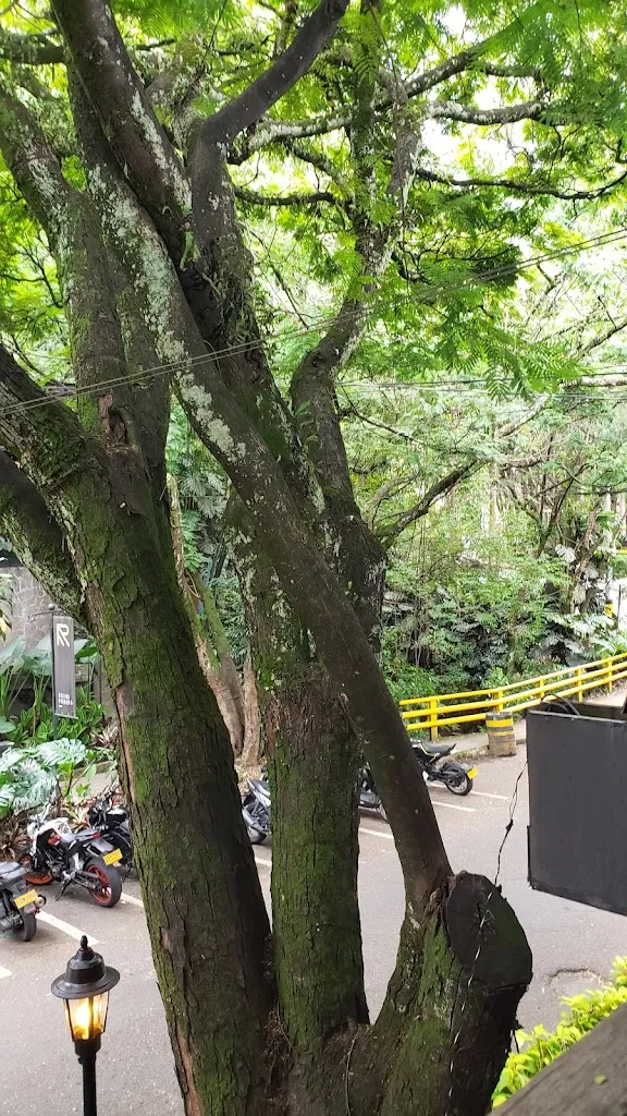 David Carbone_La Pampa Parrilla Argentina Provenza Medellin_Medellín_recensione