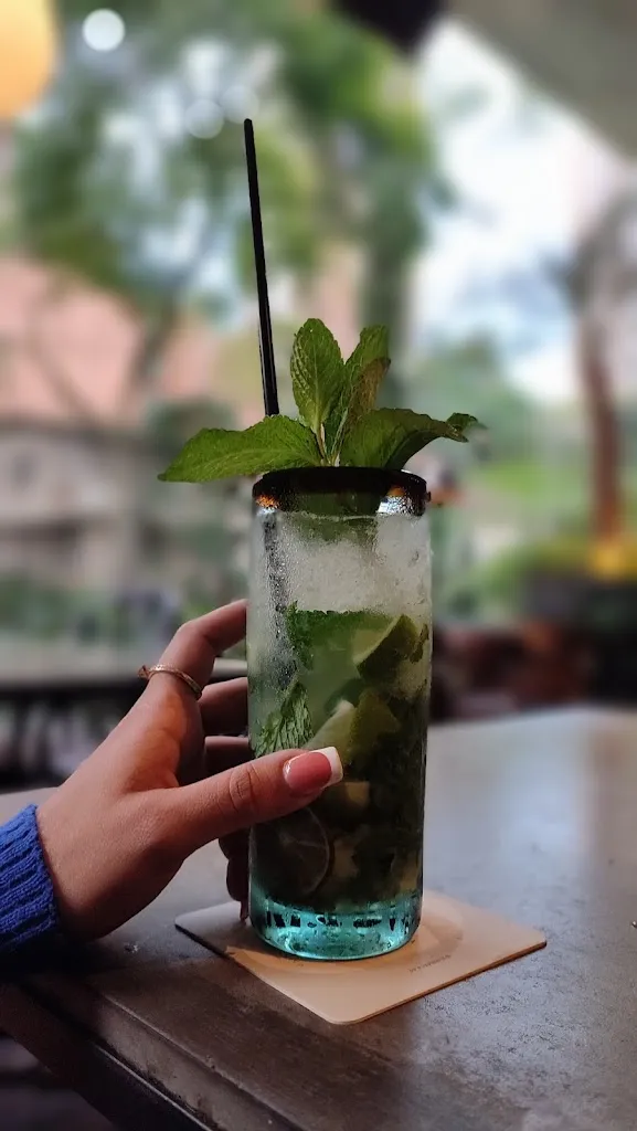 Menu_El Botánico Restaurante Cocina de Autor Medellín_Medellín_image_6