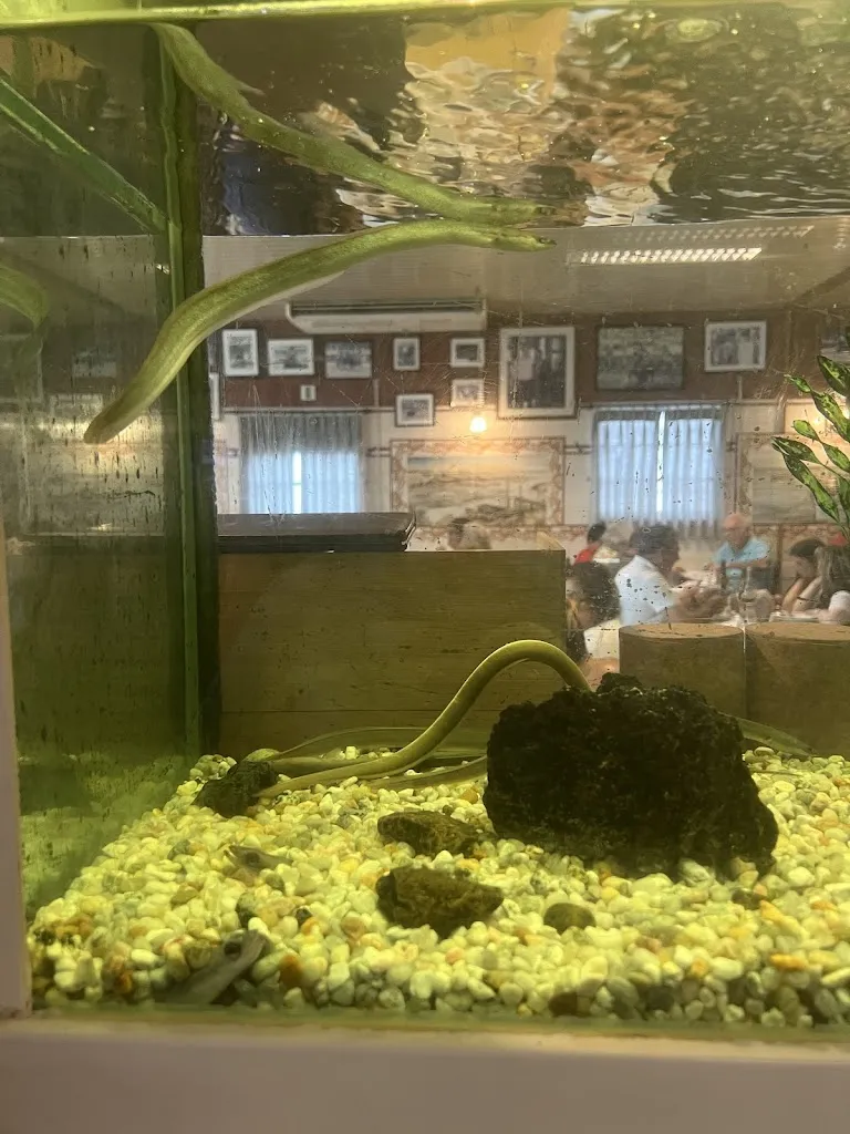 Jorge Soares Albergaria_Casa das Enguias_Montijo_recensione