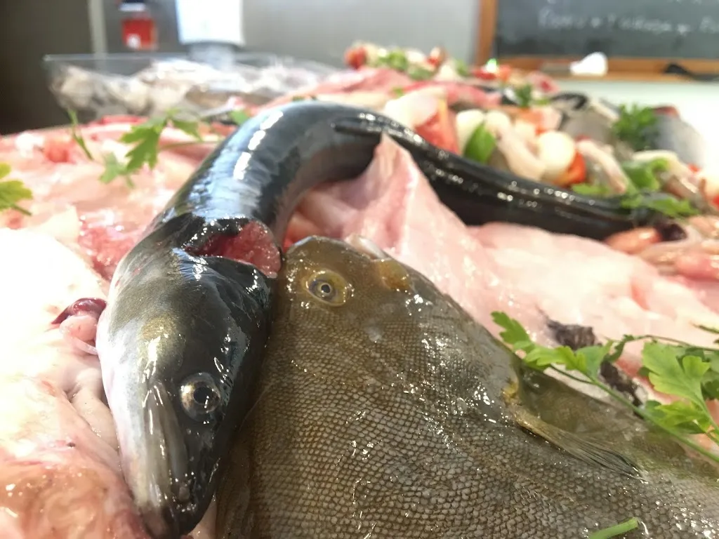 Casa do Pescador_Montijo_slider_image_3