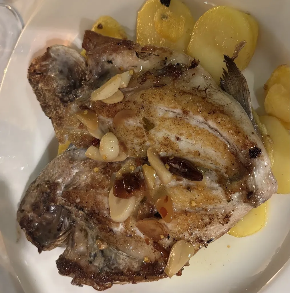 Michael Miller_Bazaar_Amés_review