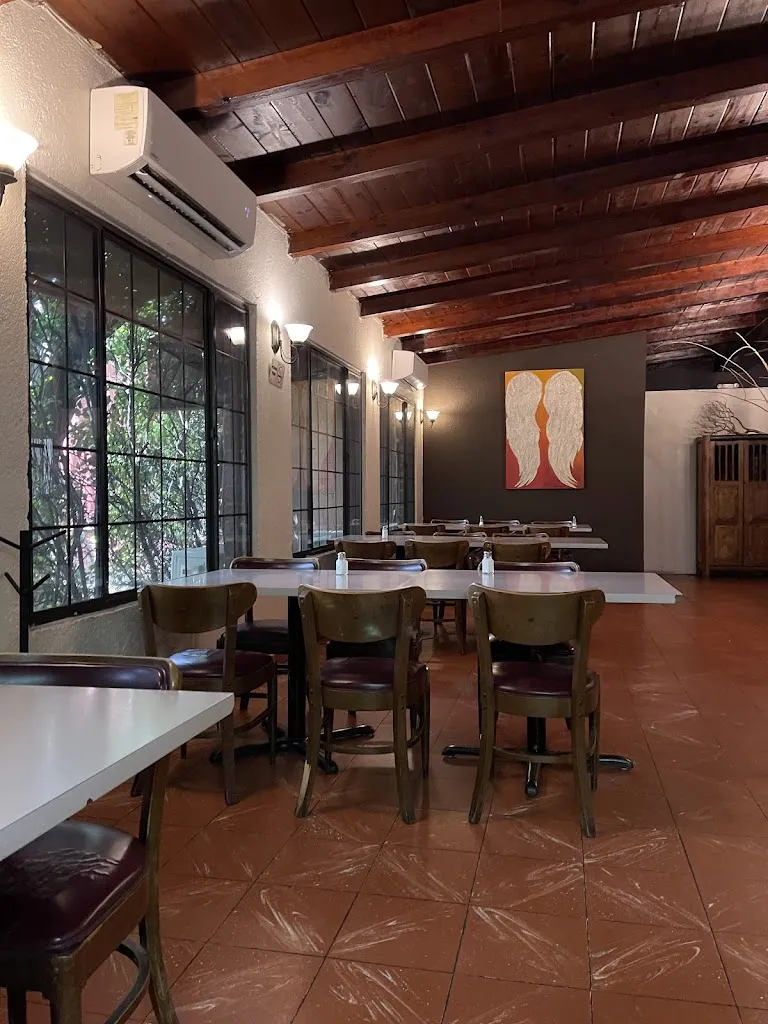 Ara_Trocadero_Nogales_review