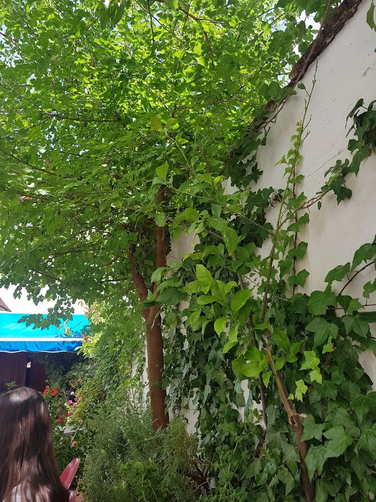 Complejo People_Puebla de la Calzada_slider_image_3