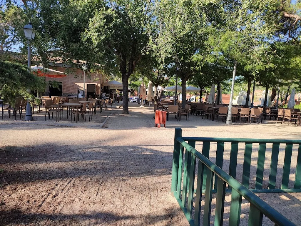 Eleni Kalogeropoulou_Café de La Paloma_Palomas_review