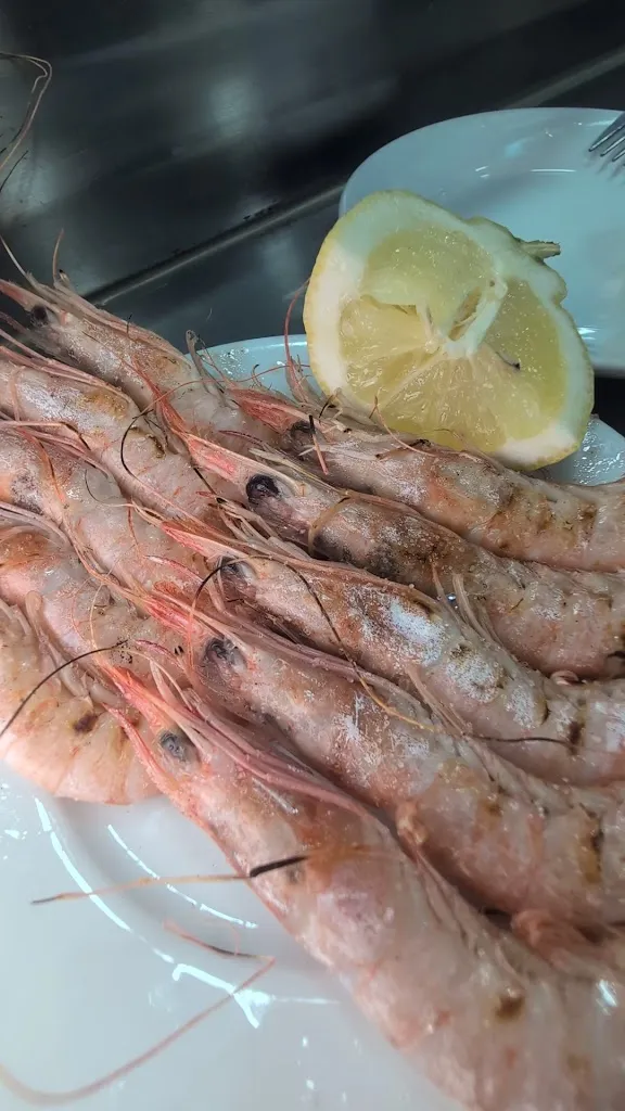 La Paloma_Palomas_slider_image_2