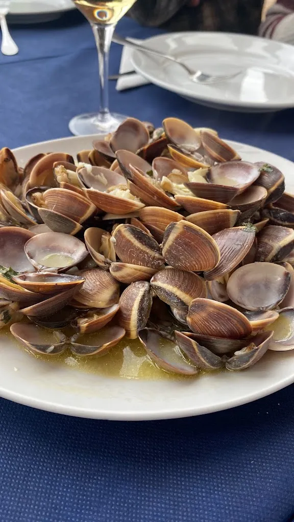 Clara_Marina Villarreal_Olivenza_review