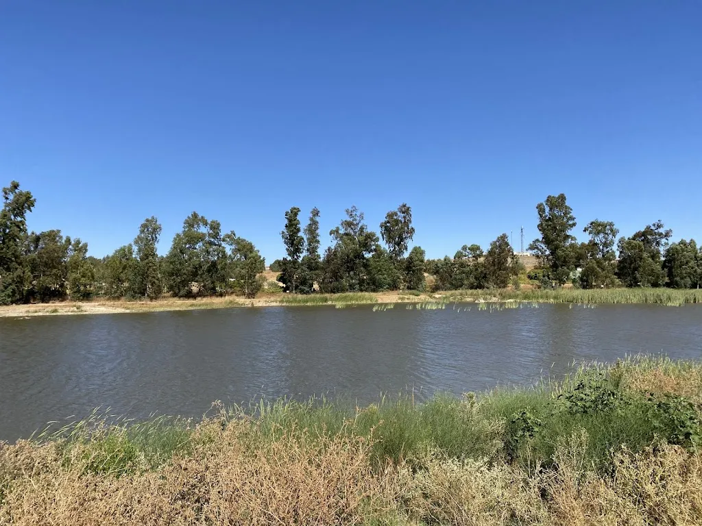 JM LG _Churrasco de São Pedro_Olivenza_review