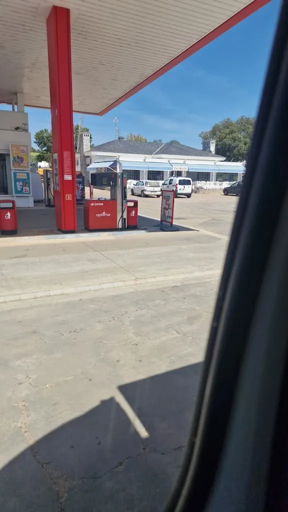 Romus B_Bar Restaurante Los Sauces_Roca de la Sierra La_review