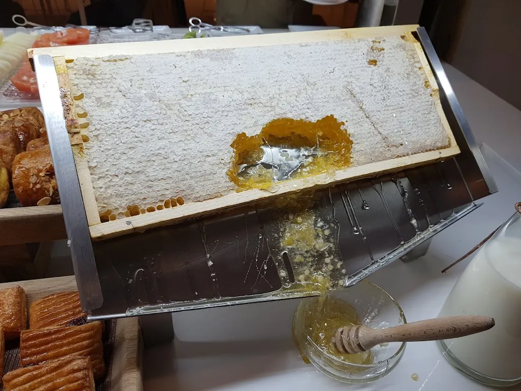 Menu_Mosaico_Amés_image_6