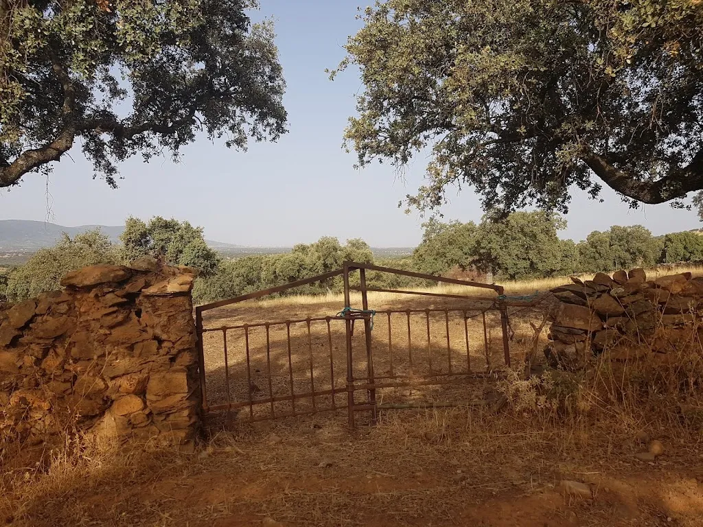 Bar Nicanor_Tamurejo_slider_image_3