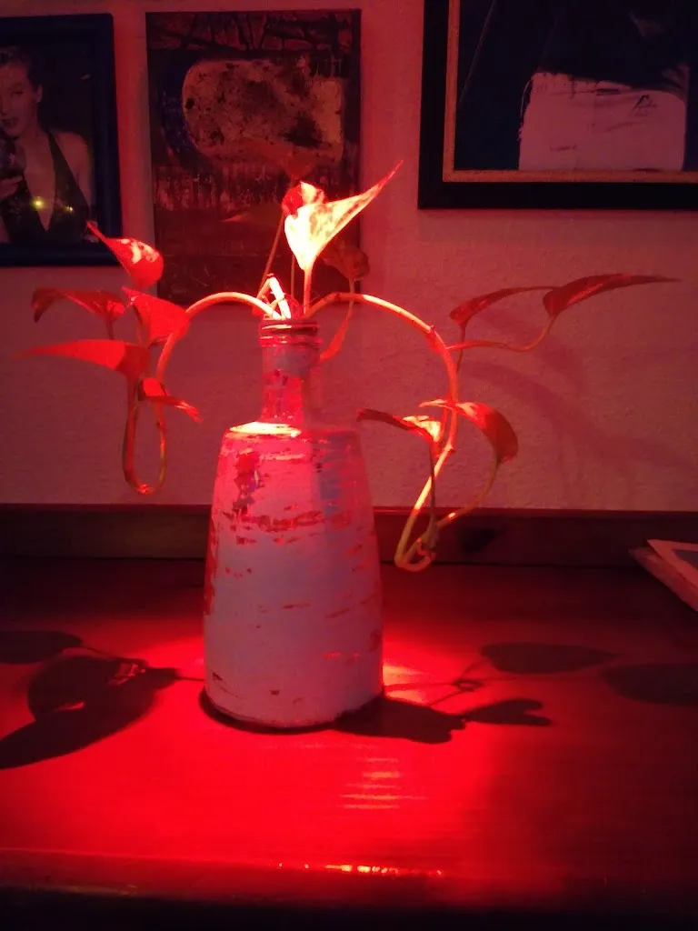 Francisco del Rio_Pub Faroles_Talarrubias_review